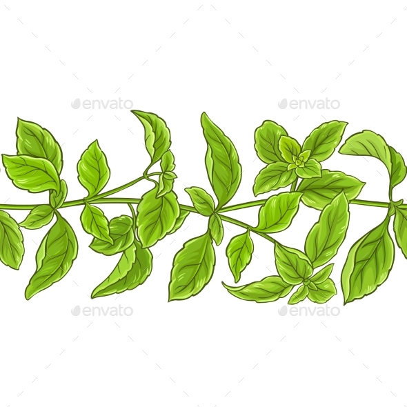 Basil Plant Vector Pattern, Vectors | GraphicRiver