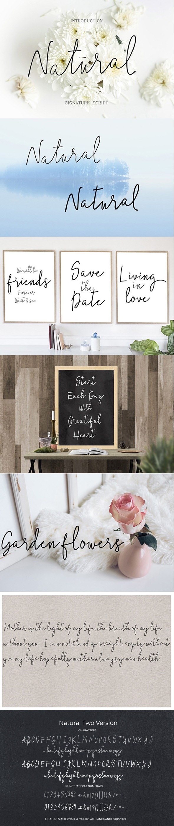 Natural, Fonts | GraphicRiver