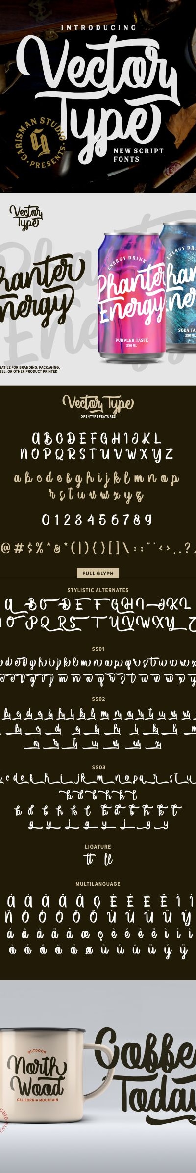 Vector Type, Fonts | GraphicRiver