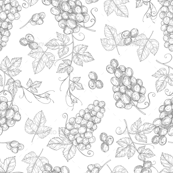Sketch Grapes Seamless Pattern Vector Texture, Vectors | GraphicRiver