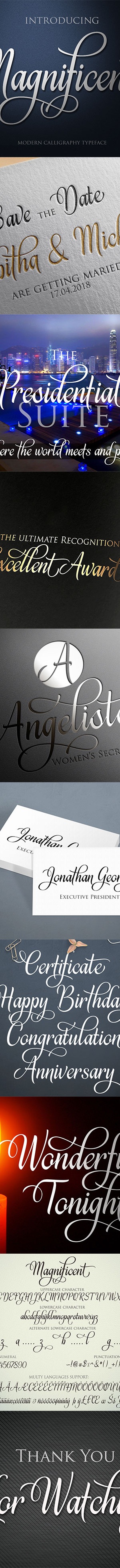 Magnificent Script, Fonts | GraphicRiver