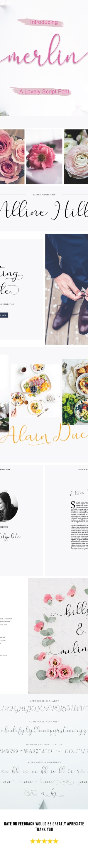 Merlin Script, Fonts | GraphicRiver