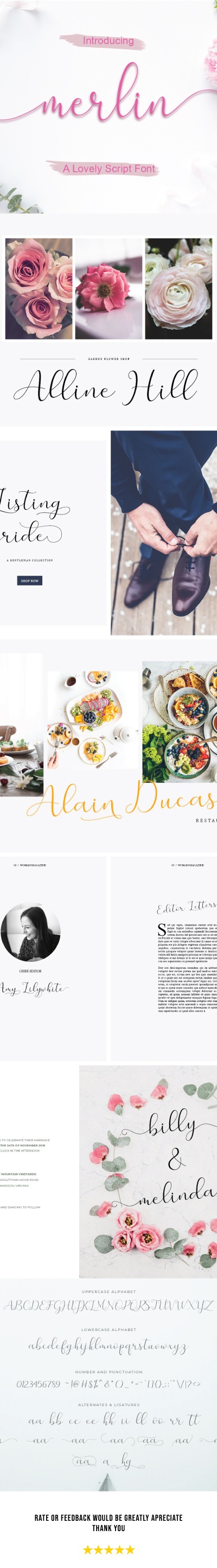 Merlin Script, Fonts | GraphicRiver