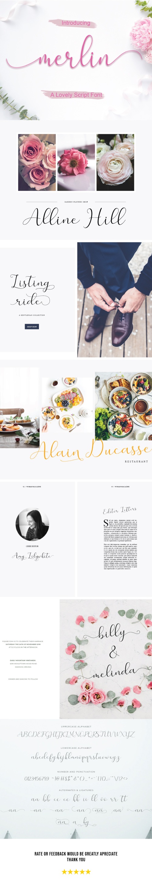 Merlin Script, Fonts | GraphicRiver