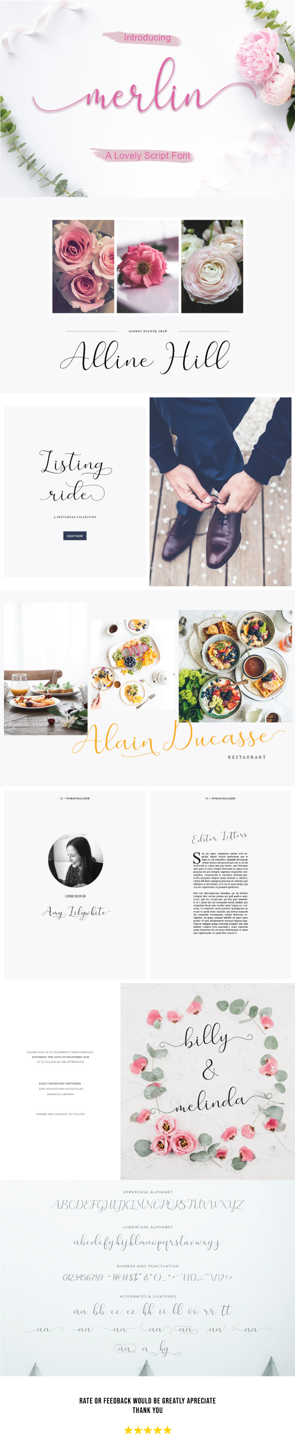 Merlin Script, Fonts | GraphicRiver