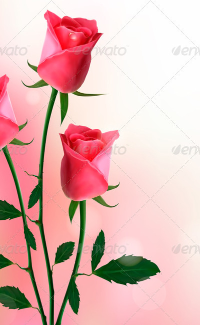 Holiday background with beautiful red roses , Vectors | GraphicRiver