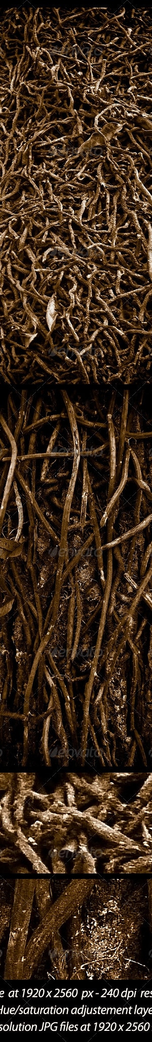 2 Roots Textures, Textures | GraphicRiver