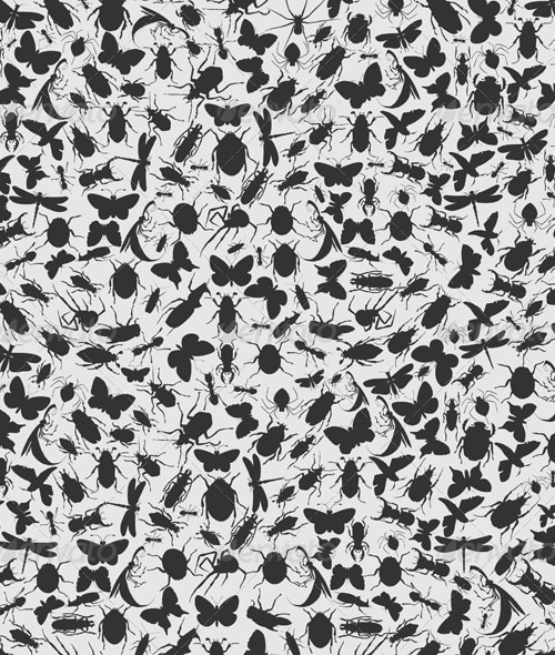 Background insects, Vectors | GraphicRiver