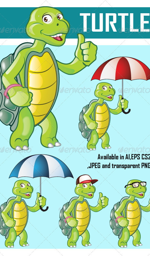 Turtle , Vectors | GraphicRiver