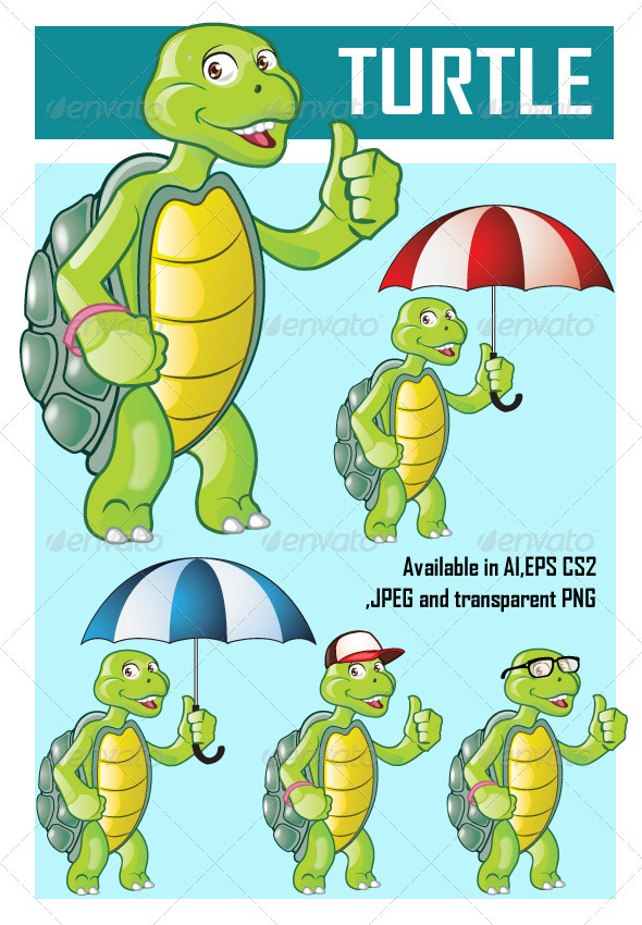Turtle , Vectors | GraphicRiver