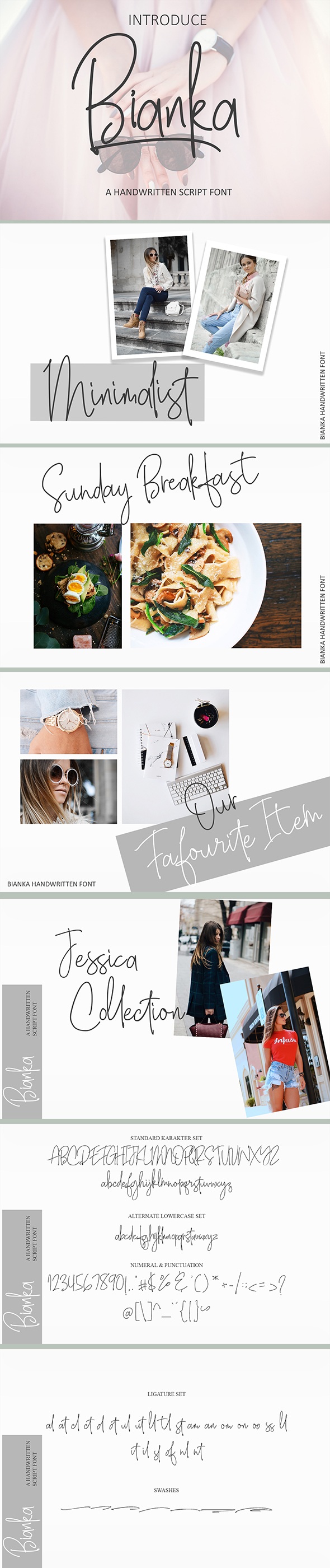 Bianka Monoline Script - Hand-writing Script