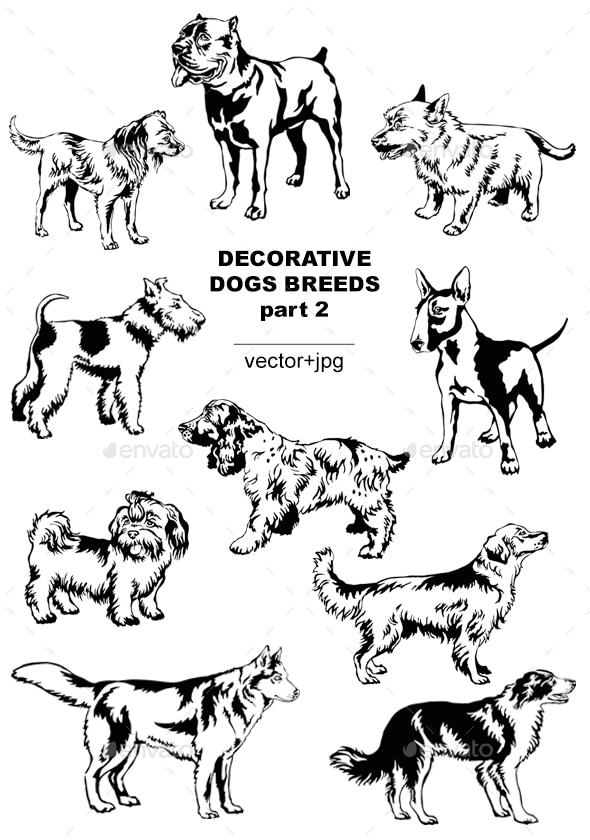 Decorative Dogs Breeds 2, Vectors GraphicRiver