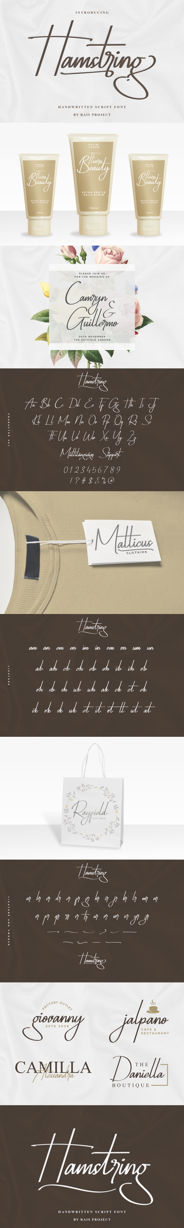 Hamstring Signature Font, Fonts | GraphicRiver