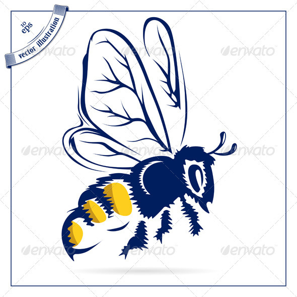Honey Bee Insect Flying, Vectors | GraphicRiver