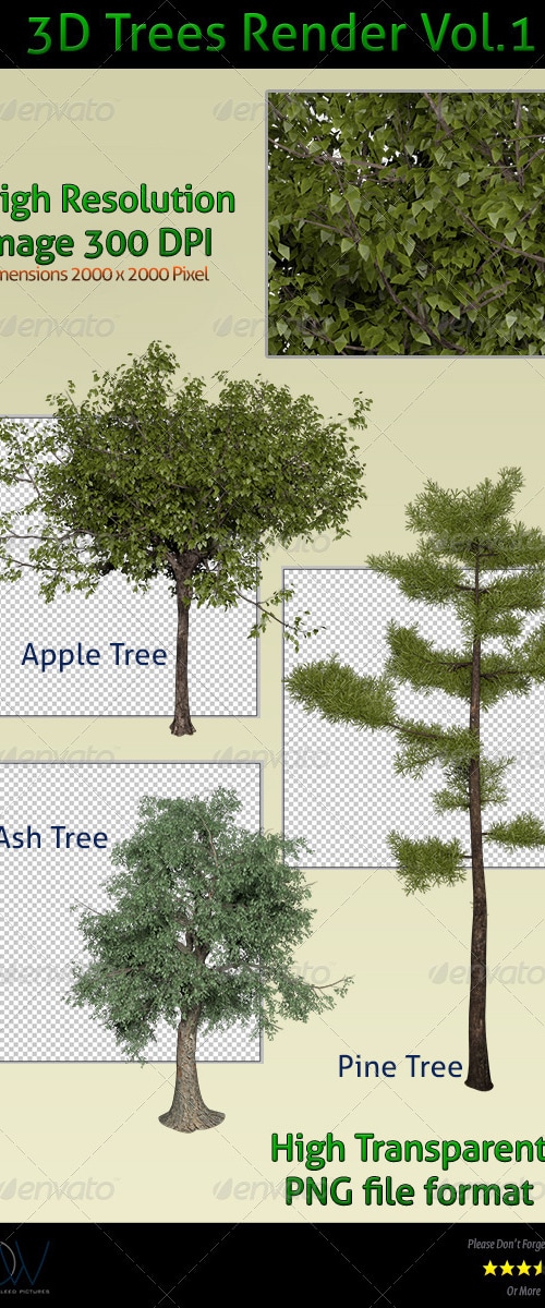 Trees 3D Render, Graphics | GraphicRiver