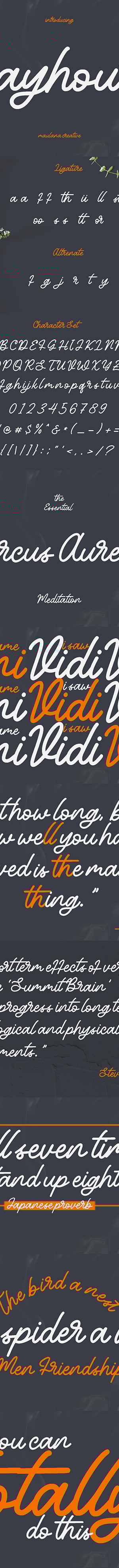 Bayhours Cursive Script Font, Fonts | GraphicRiver