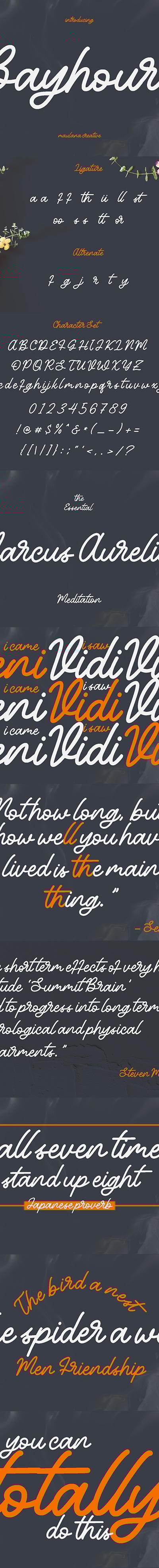 Bayhours Cursive Script Font, Fonts | GraphicRiver