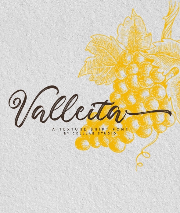 Valleita Script - A Textured Script Font - Calligraphy Script