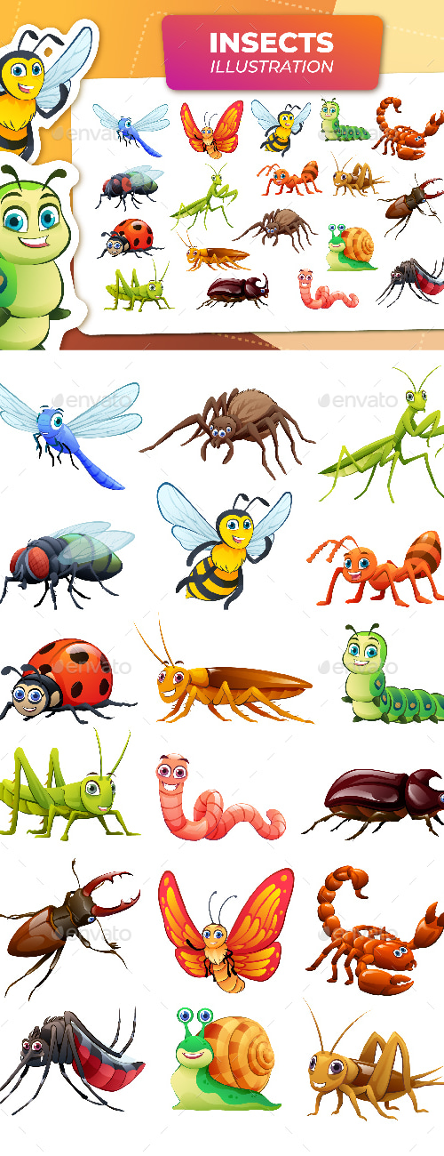 Cute Insect Cartoon Illustration Set, Vectors | GraphicRiver