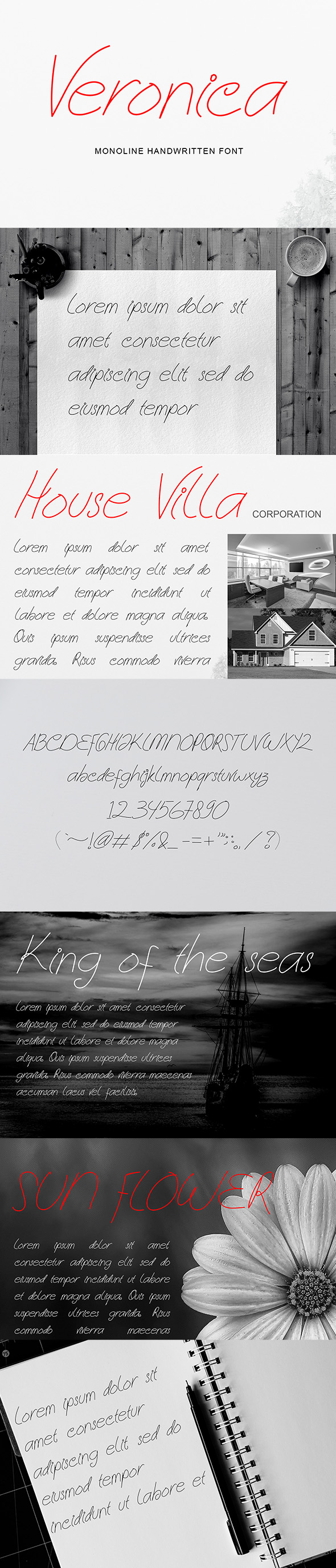 Veronica - Handwriting Font, Fonts | GraphicRiver