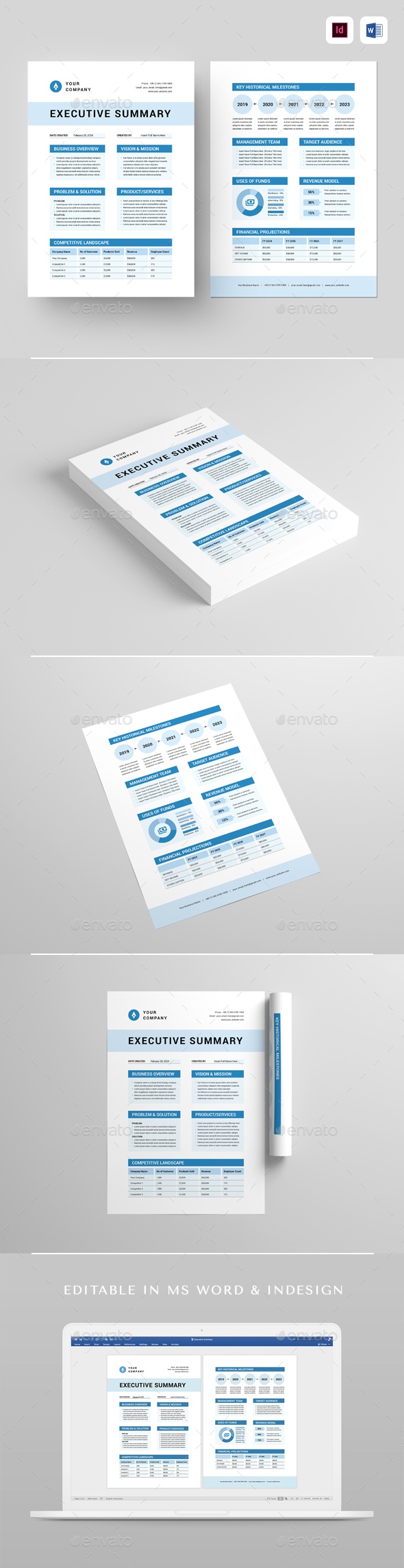 Executive Summary | MS Word & Indesign, Print Templates | GraphicRiver