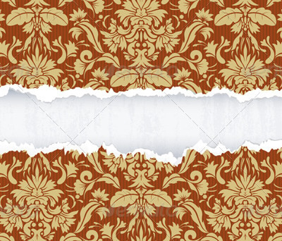 Ripped Paper, Vectors | GraphicRiver