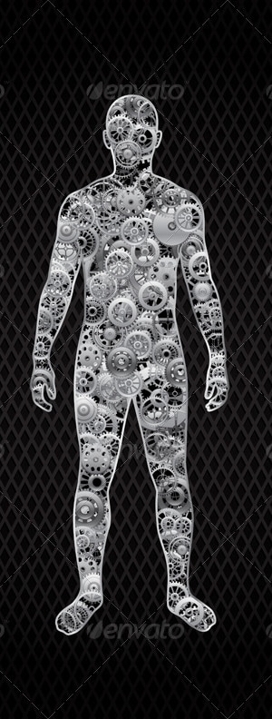 Human, Vectors | GraphicRiver