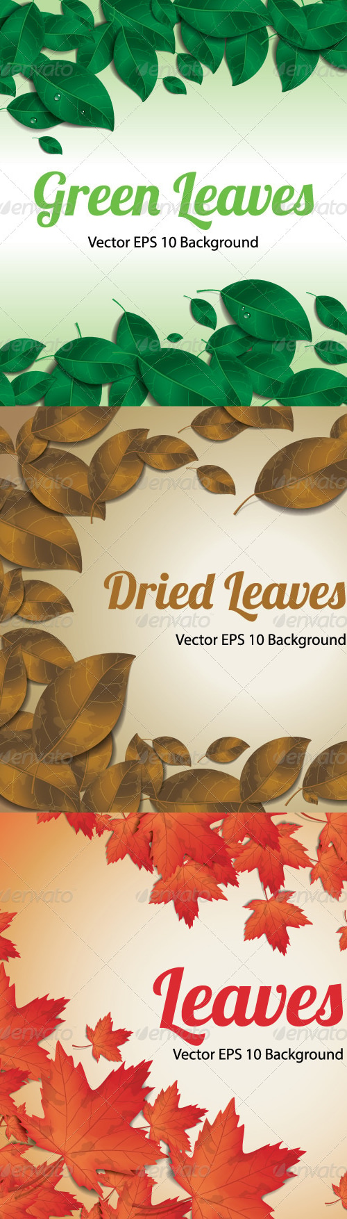 Leaf Background, Vectors | GraphicRiver