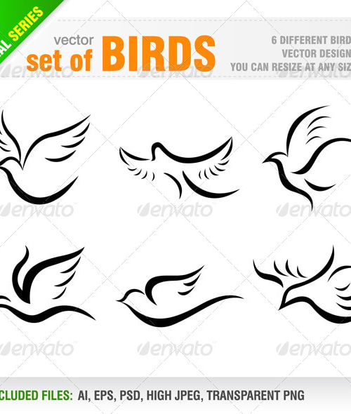 Birds, Vectors | GraphicRiver