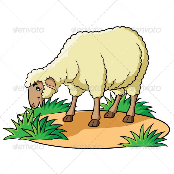 Sheep Cartoon, Vectors | GraphicRiver