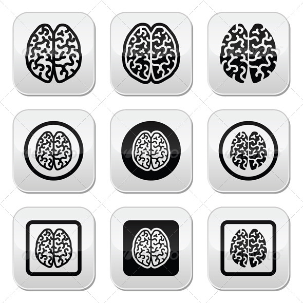Human Brain Icons Set, Vectors | GraphicRiver