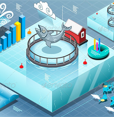 Isometric Infographic of Sea Farmed Fish, Vectors | GraphicRiver
