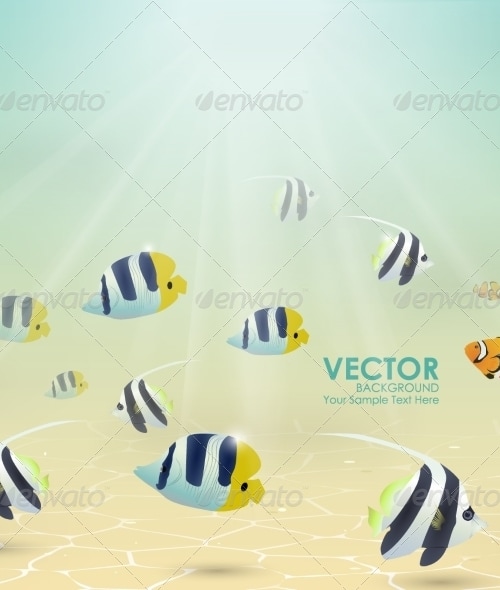 Fish in Tropical Water, Vectors | GraphicRiver