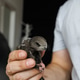 A black swift bird rescued indoors held softly in a man's hand with focus on detail and trust A black swift bird rescued indoors held softly in a man's hand with focus on detail and trust - PhotoDune Item for Sale