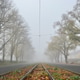 Foggy Tram Tracks with Autumn Leaves Foggy Tram Tracks with Autumn Leaves - PhotoDune Item for Sale