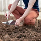 Close up of farmer researcher man holding tablet writing over soils sitting crouching in greenhouse. Close up of farmer researcher man holding tablet writing over soils sitting crouching in greenhouse. - PhotoDune Item for Sale