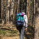 Hiker traveler with a backpack in a pine forest. Hiker traveler with a backpack in a pine forest. - PhotoDune Item for Sale