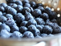 Closeup of fresh textured blueberries with waterdrops after being washed Closeup of fresh textured blueberries with waterdrops after being washed - PhotoDune Item for Sale