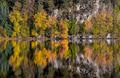 Autumn Reflections At The Lake Autumn Reflections At The Lake - PhotoDune Item for Sale