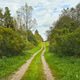 Country dirt track through greenery forest lane perspective to horizon horizontal frame Country dirt track through greenery forest lane perspective to horizon horizontal frame - PhotoDune Item for Sale