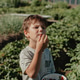 A boy in the kitchen garden A boy in the kitchen garden - PhotoDune Item for Sale