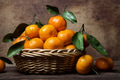Citrus fruits Citrus fruits - PhotoDune Item for Sale