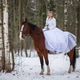Winter Bride Sitting Calmly On Horseback In Forest Winter Bride Sitting Calmly On Horseback In Forest - PhotoDune Item for Sale