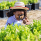 Child Learning Agriculture by Observing Plants in Organic Garden Child Learning Agriculture by Observing Plants in Organic Garden - PhotoDune Item for Sale