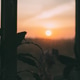 Sunrise view from home foggy window. Sunrise view from home foggy window. - PhotoDune Item for Sale
