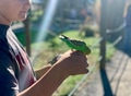 Cute parakeet bird standing on a teenager’s hand looking for food on a pretty day enjoying nature Cute parakeet bird standing on a teenager’s hand looking for food on a pretty day enjoying nature - PhotoDune Item for Sale