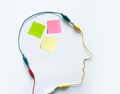 Mockup friendly sticky notes in different colors in human head silhouette. Thoughts ideas concept Mockup friendly sticky notes in different colors in human head silhouette. Thoughts ideas concept - PhotoDune Item for Sale