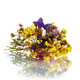 Bouquet flowers a white background Bouquet flowers a white background - PhotoDune Item for Sale
