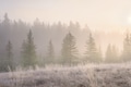 Foggy landscape at dawn. Sunbeams in a valley. Forest in a mountain valley at dawn. Foggy landscape at dawn. Sunbeams in a valley. Forest in a mountain valley at dawn. - PhotoDune Item for Sale