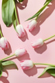 Easter frame of pink tulips on pastel pink. Easter frame of pink tulips on pastel pink. - PhotoDune Item for Sale